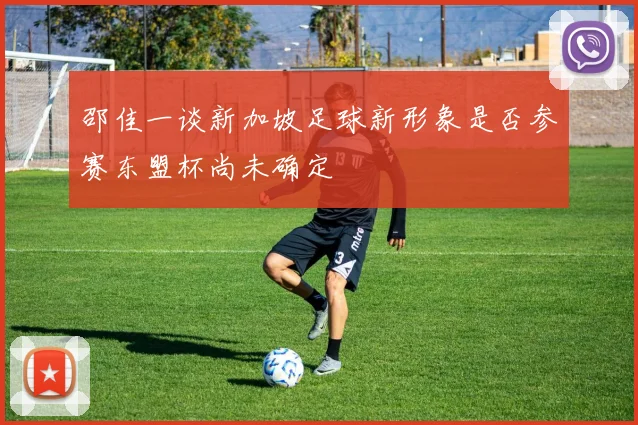 邵佳一谈新加坡足球新形象是否参赛东盟杯尚未确定